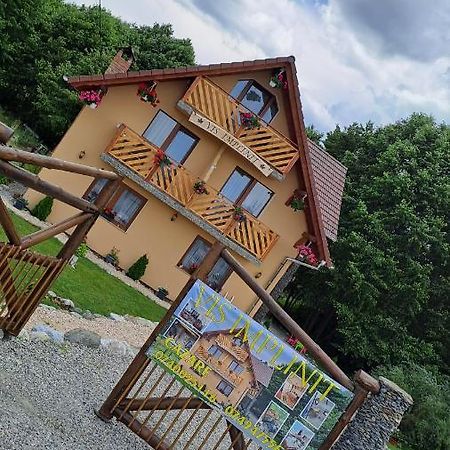 Vis Implinit Hotel Cîrţişoara Екстериор снимка