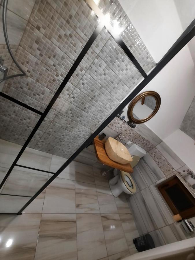 Vis Implinit Hotel Cîrţişoara Екстериор снимка