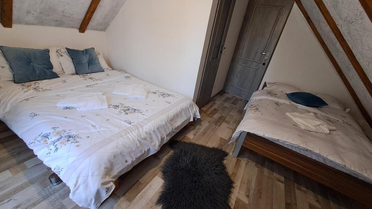 Vis Implinit Hotel Cîrţişoara Екстериор снимка