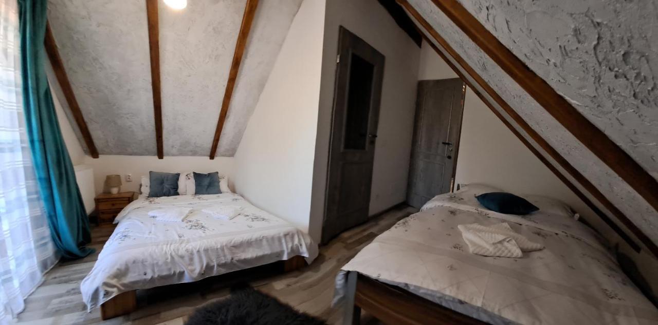 Vis Implinit Hotel Cîrţişoara Екстериор снимка