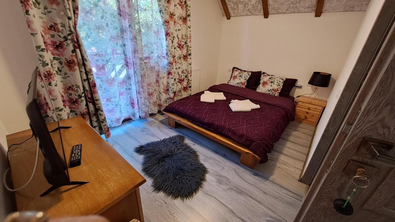 Vis Implinit Hotel Cîrţişoara Екстериор снимка