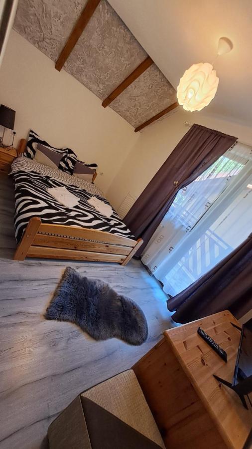 Vis Implinit Hotel Cîrţişoara Екстериор снимка