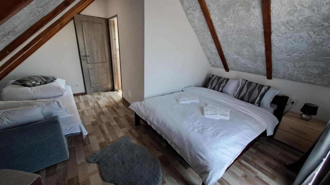 Vis Implinit Hotel Cîrţişoara Екстериор снимка