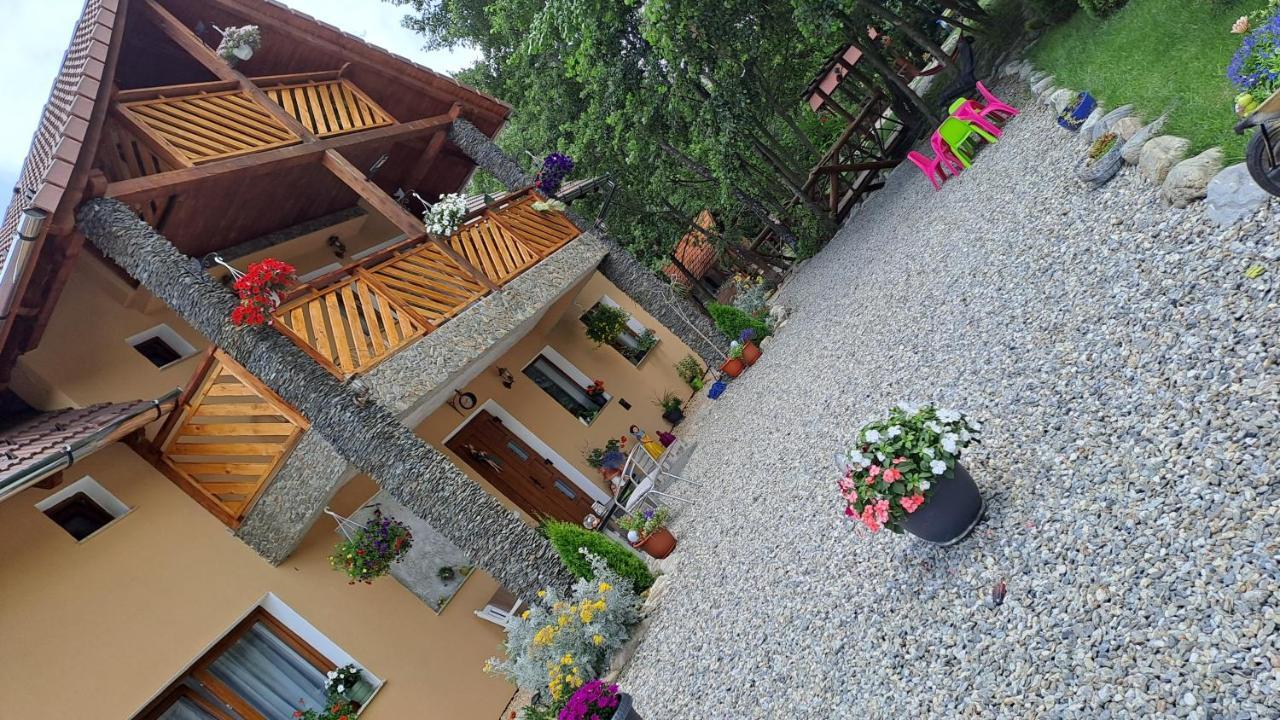Vis Implinit Hotel Cîrţişoara Екстериор снимка