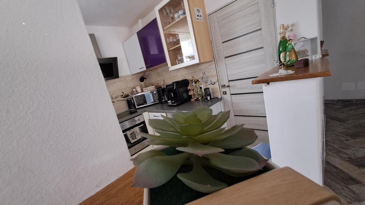 Vis Implinit Hotel Cîrţişoara Екстериор снимка