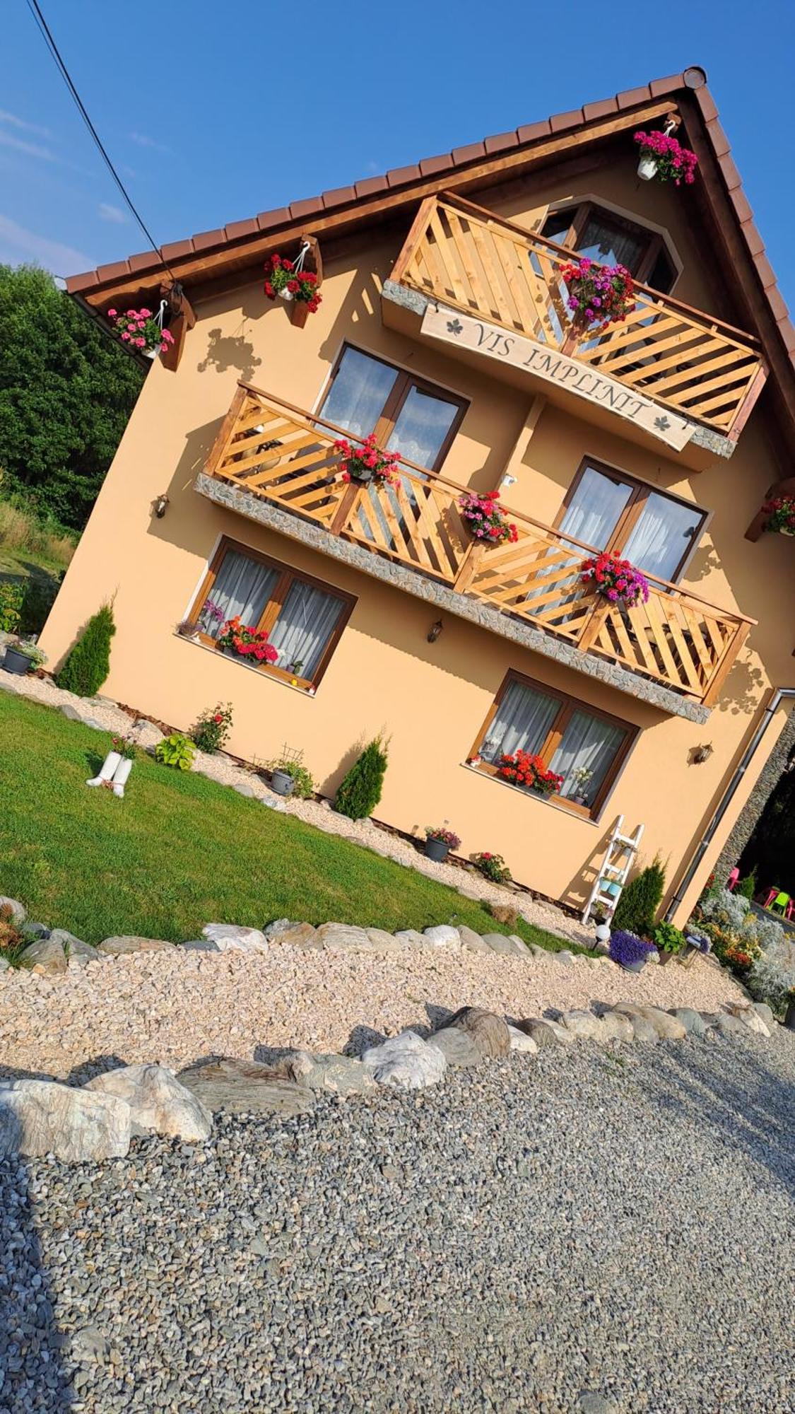 Vis Implinit Hotel Cîrţişoara Екстериор снимка