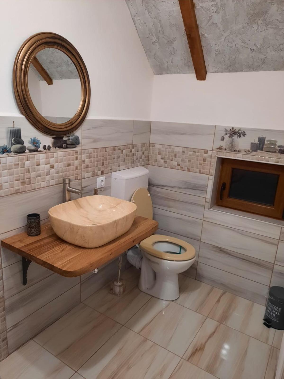 Vis Implinit Hotel Cîrţişoara Екстериор снимка