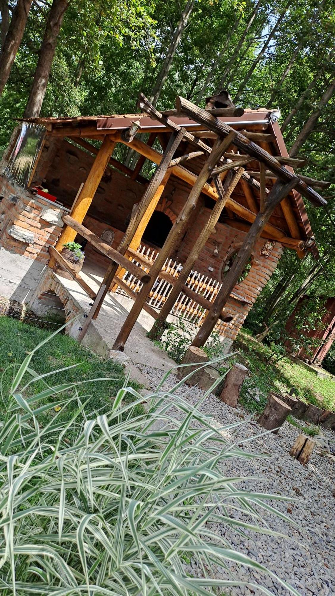 Vis Implinit Hotel Cîrţişoara Екстериор снимка